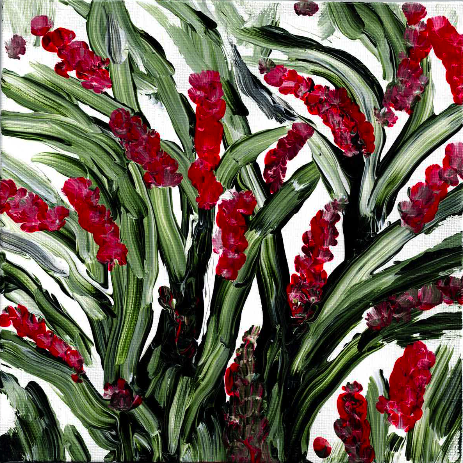 Red Fairy Berries