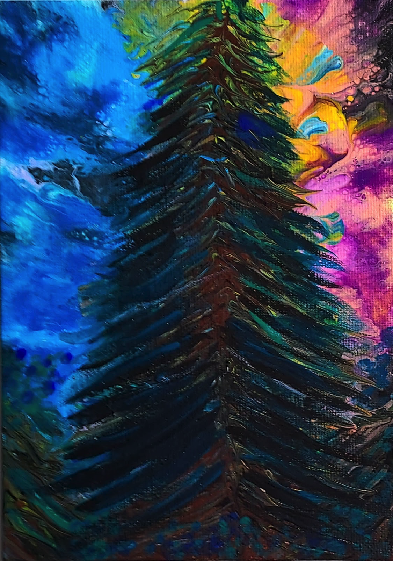 Evergreen at Sunset